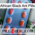 African Black Ant Pills 06